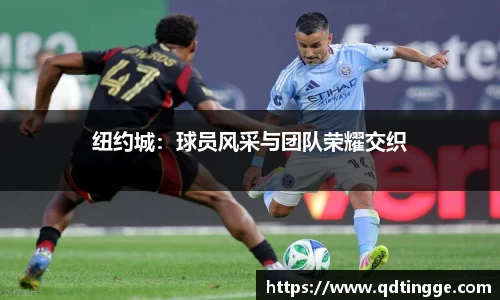 emc体育官方下载