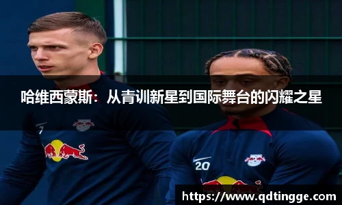 芒果体育官方网站