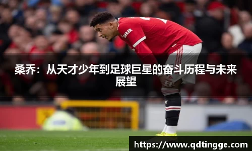 芒果体育官方网站