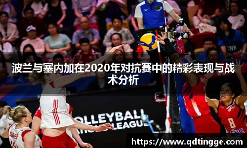 波兰与塞内加在2020年对抗赛中的精彩表现与战术分析